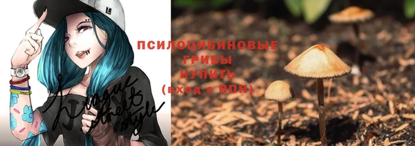 сатива Саяногорск