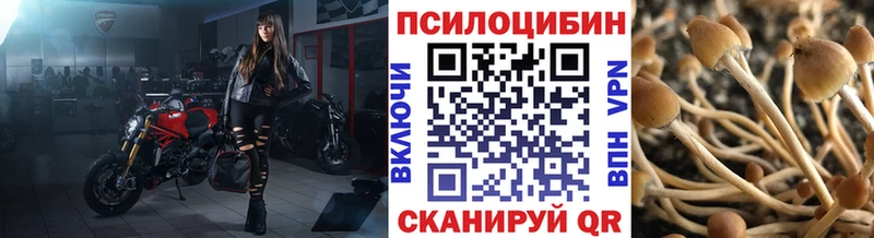 blacksprut онион  Трёхгорный  Псилоцибиновые грибы ЛСД  купить наркотик 